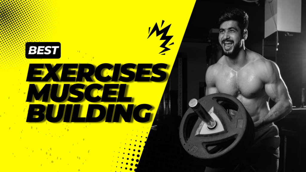 Best Exercises for Muscle Building